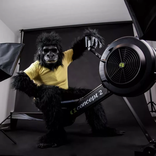 Гребной тренажер Concept2 RowErg Standard с монитором PM5