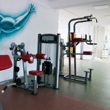 Подтягивание / отжимание с помощью (гравитрон) AeroFIT IF8120 / IF9320