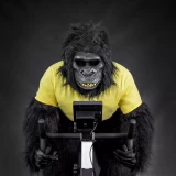 Concept2 BikeErg PM5 Велотренажер эргометр