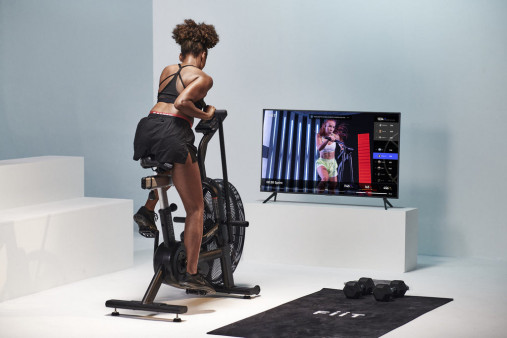 Вертикальный велотренажер эйрбайк ASSAULTBIKE PRO Вертикальный велотренажер эйрбайк ASSAULTBIKE PRO