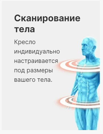 Массажное кресло Méridien California (color: Black + Brown) Массажное кресло Méridien California (color: Black + Brown)